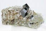 Anatase (Titanium Crystals) On Albite - Pakistan #210744-2